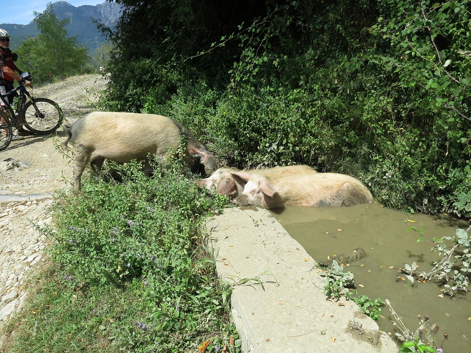 Tí si to užívajú.