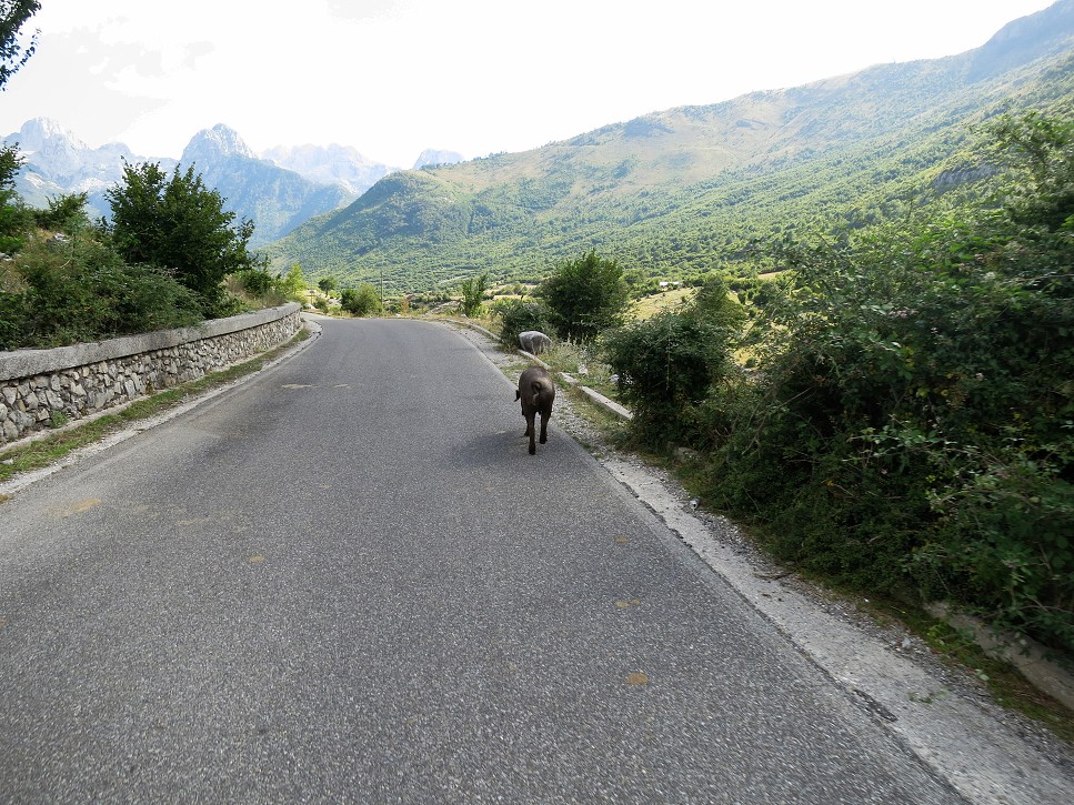 To prasa cvála celkom rýchlo.