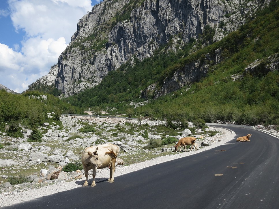 Nekonečné stúpanie do osady Lepushe, miesta nášho nocľahu.