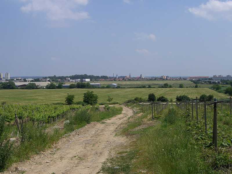 V�let na Babu (Pezinsk�)