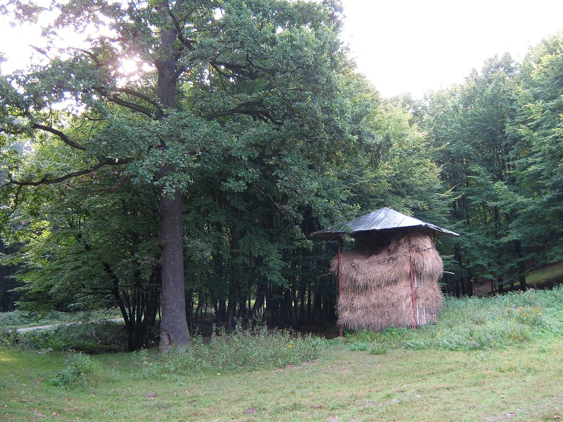 V Zlatníckej doline