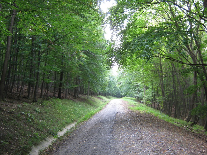 V Zlatníckej doline