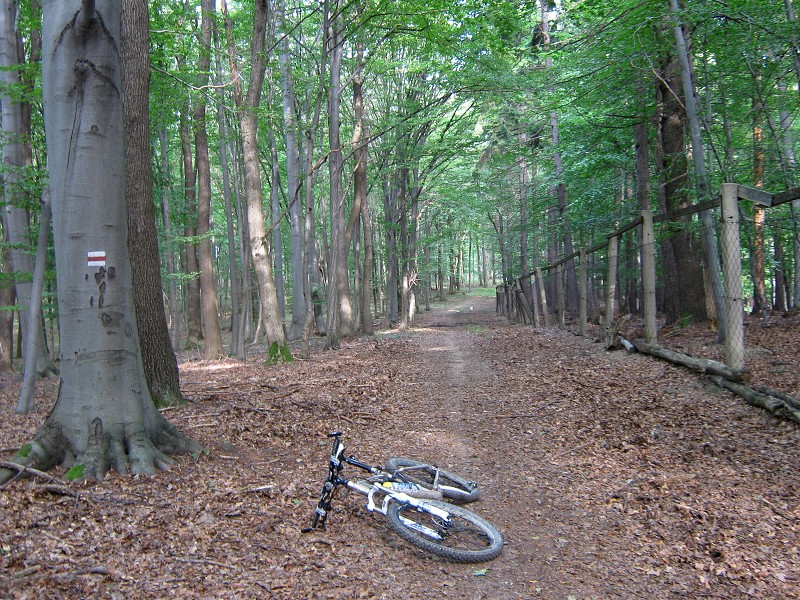 Cestička po hranici