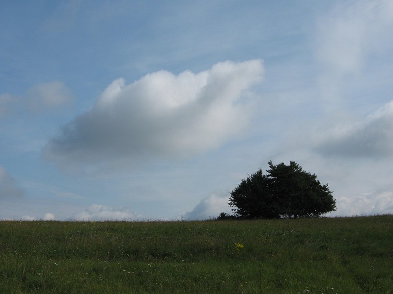 Lúky za Žalostinou