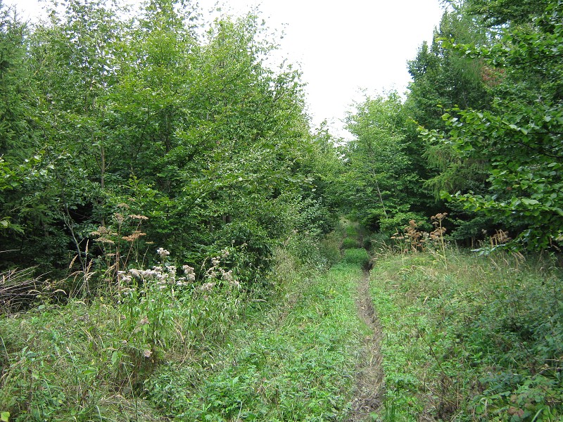 Nielen krpál, ešte aj zarastená cesta