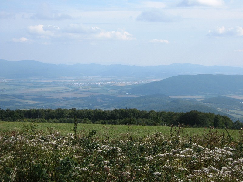 Dole je Nové Mesto n. Váhom