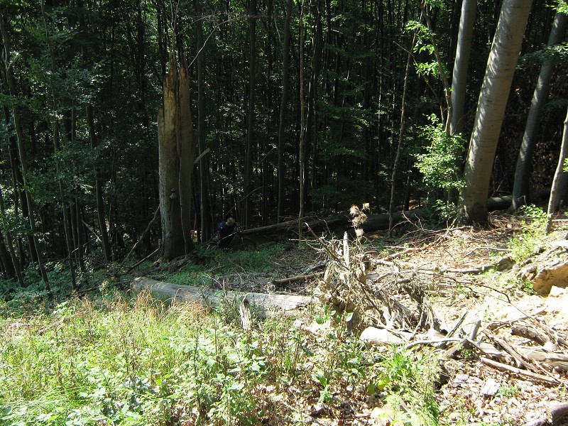 Za Sidonií sme stratili cestu