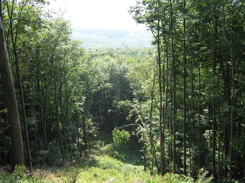 Treba vytlačiť takýmto krpálom