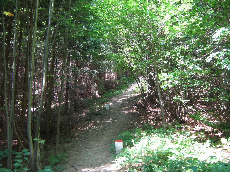 Krpál na Krkostěnu