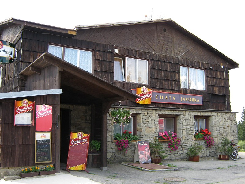 Tu si dám kyselicu a borůvkové knedlíky