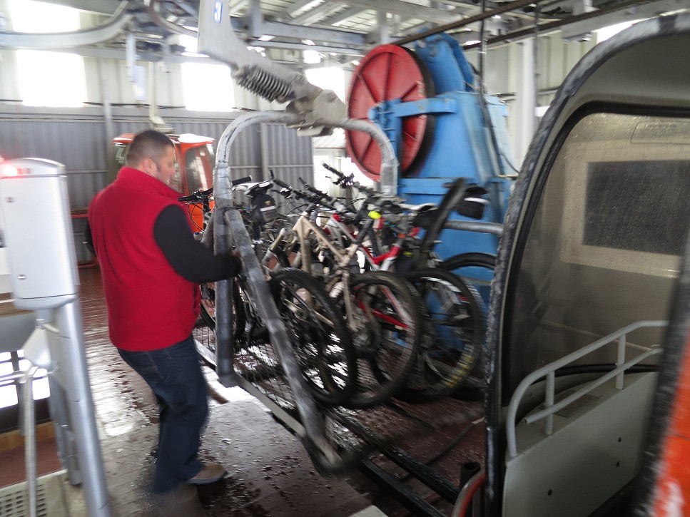 Bicyglíky idú dole