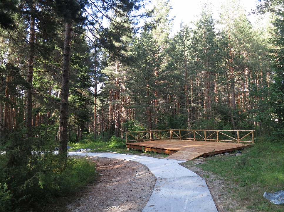 Vybetónované lesné cestičky