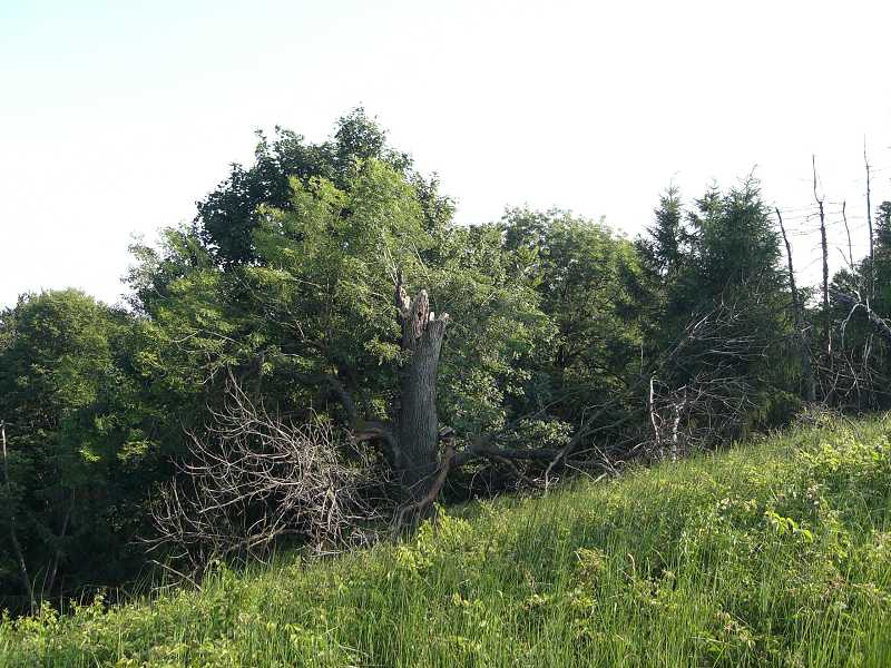 Na �erven� Kame�