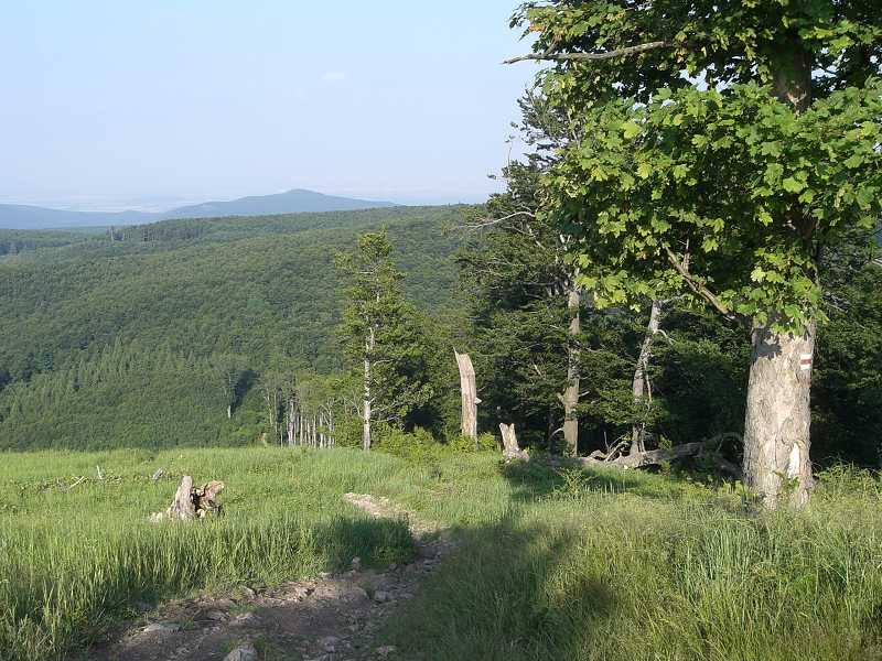 Na �erven� Kame�