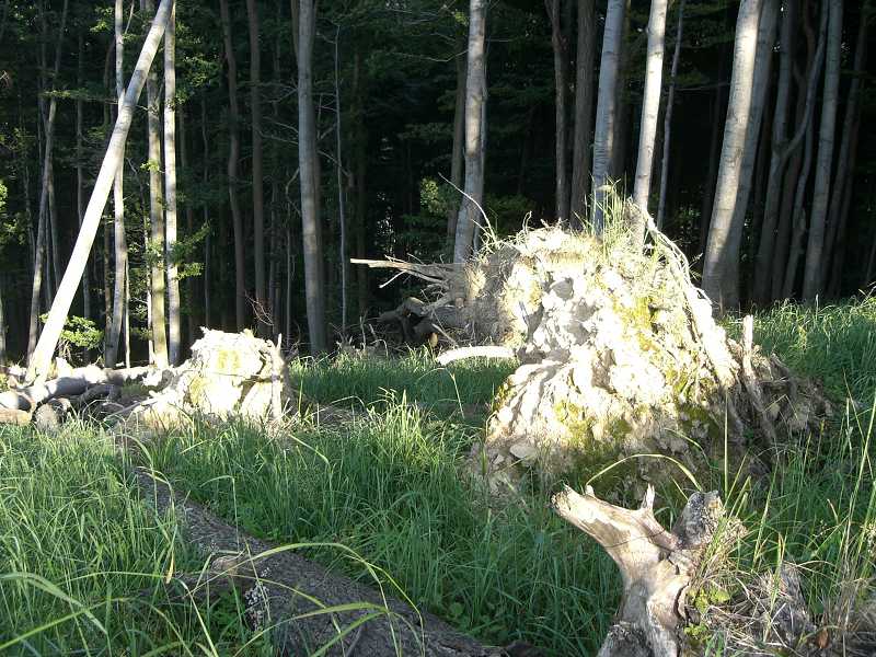 Na �erven� Kame�