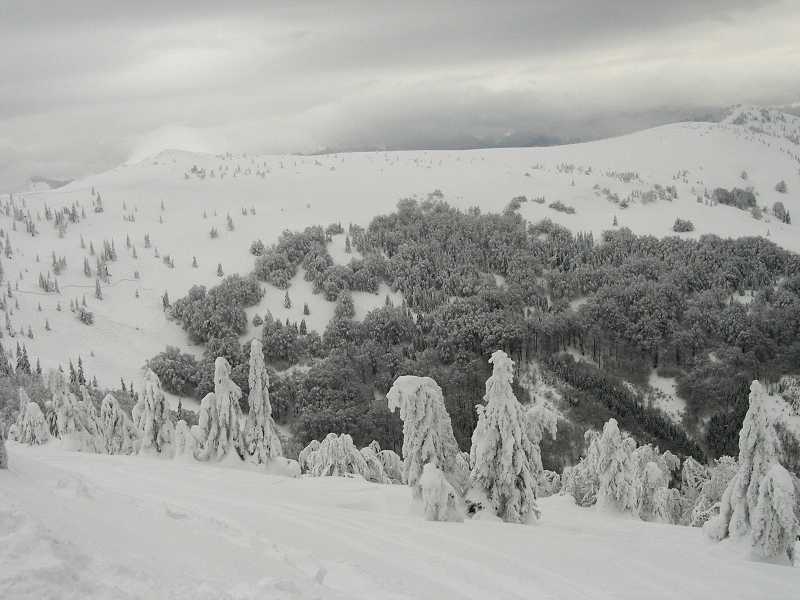 Ly�ova�ka na Chopku (janu�r 2006)