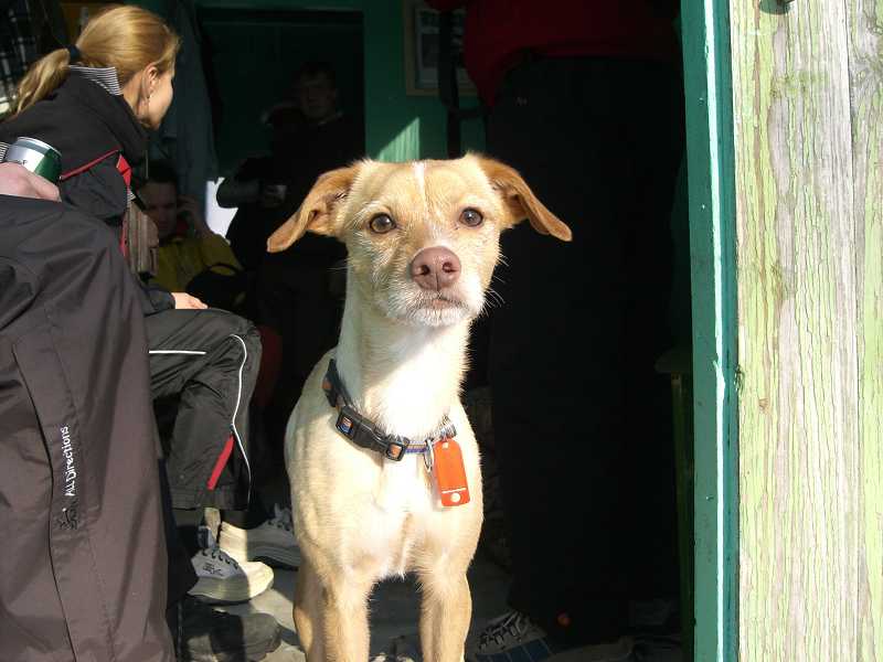 Ciment�rka 10.12.2005