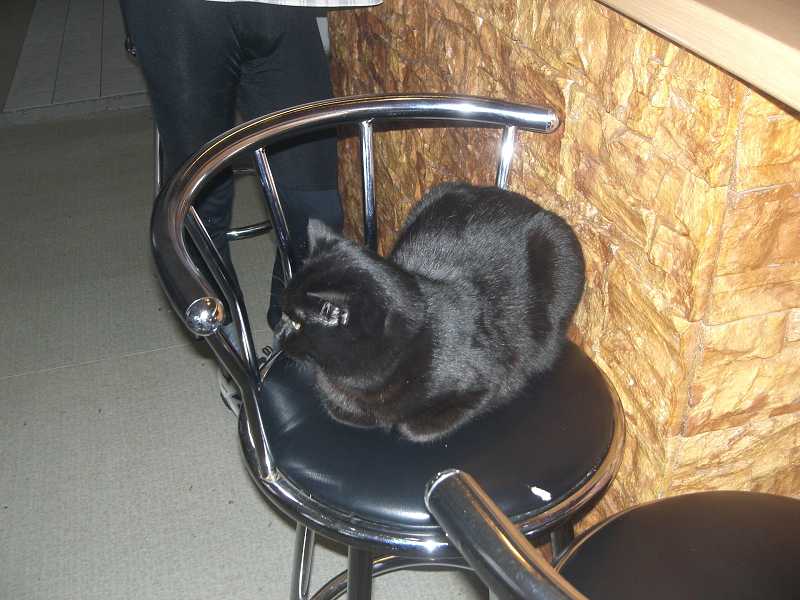 Ciment�rka 10.12.2005