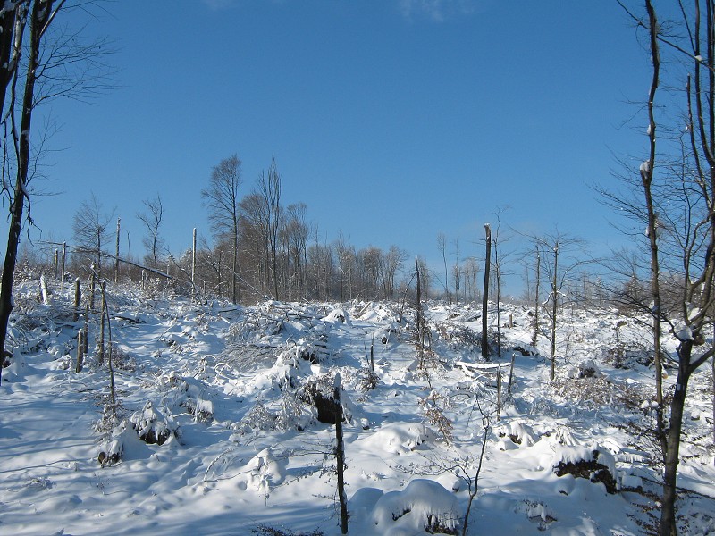 Aj u nás vyčíňala víchrica