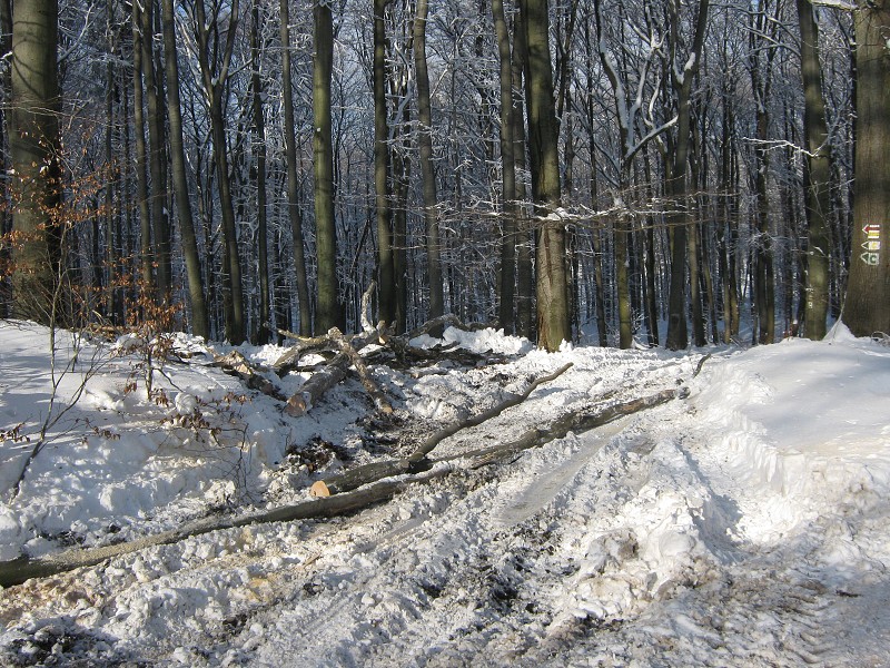 Po červenej to asi nepôjde