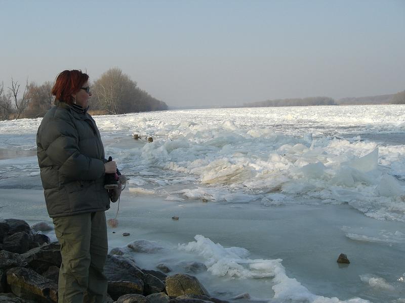 Zamrznut� Dunaj (janu�r 2006)