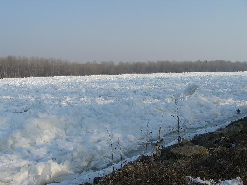 Zamrznut� Dunaj (janu�r 2006)