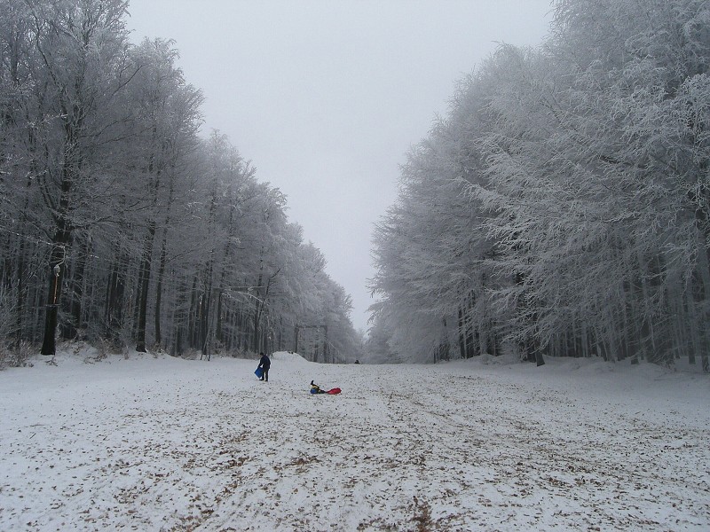 Zjazdovka na Babe. To hned� je l�stie. 