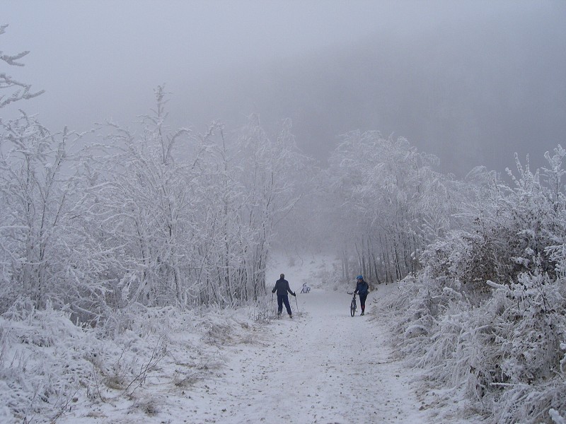 Jedna sa u� dor�tila 