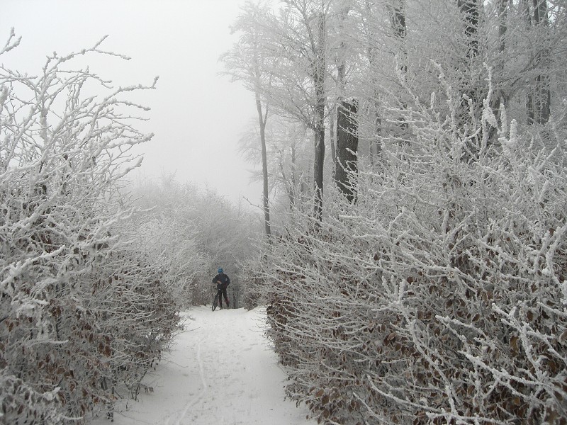 Nejde to, v snehu sa �a�ko dr�� priamy smer 