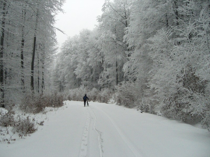 Asfaltka do Limbachu 