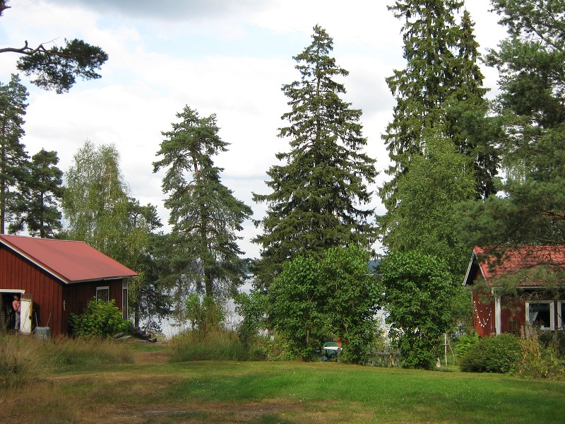 Parádne bývanie, pri jazere v lese  