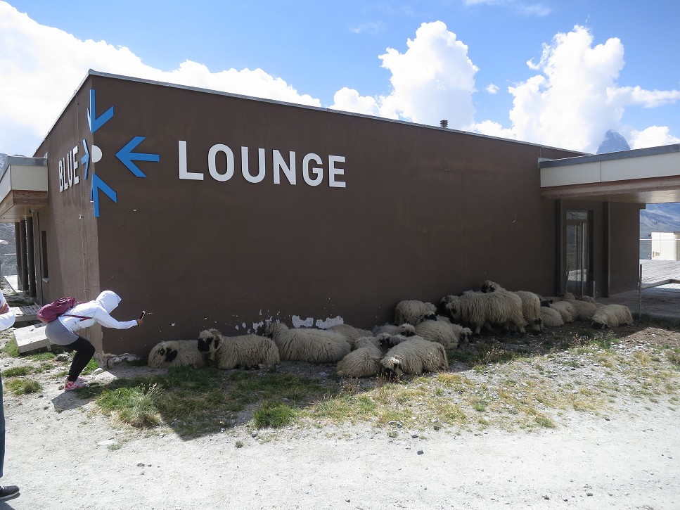 Návrat dole do Zermattu