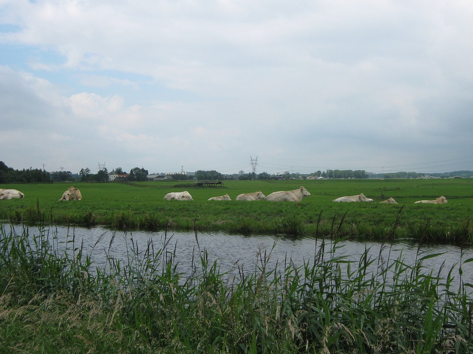 Výlet na holandský vidiek