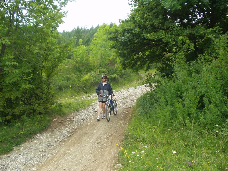 Niektor� tla�ia i nadol 