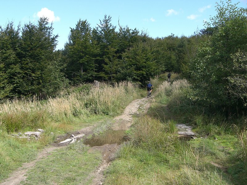 Blata je m�lo, toto b�valo takmer nepriechodn� 