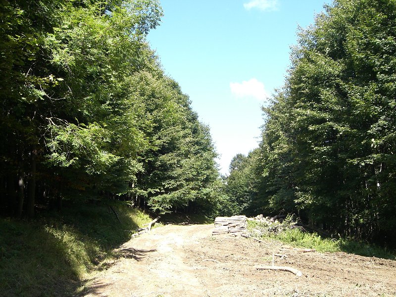 Cesta na Pezinsk� Babu 