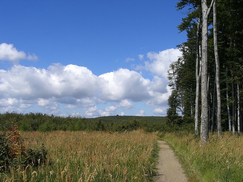 Cesta na Pezinsk� Babu 