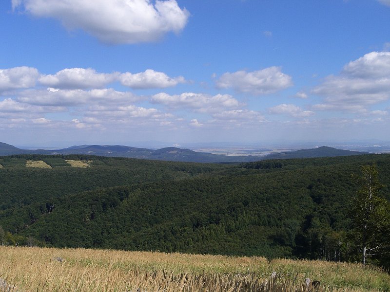 Poh�ad z �ertovho kopca, v pozad� Jaslovsk� Bohunice 