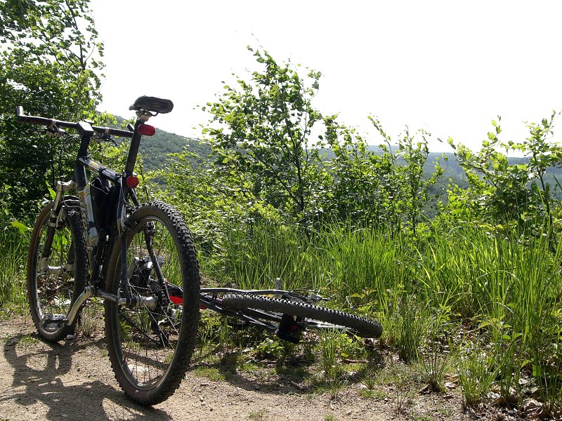 Niekde pod Skalnatou 