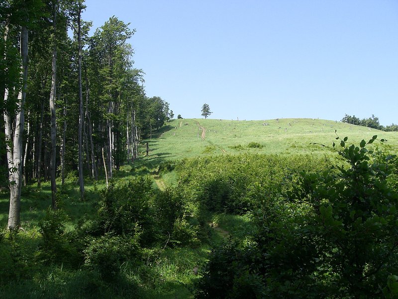 A u� za Skalnatou, t� sme obi�li 