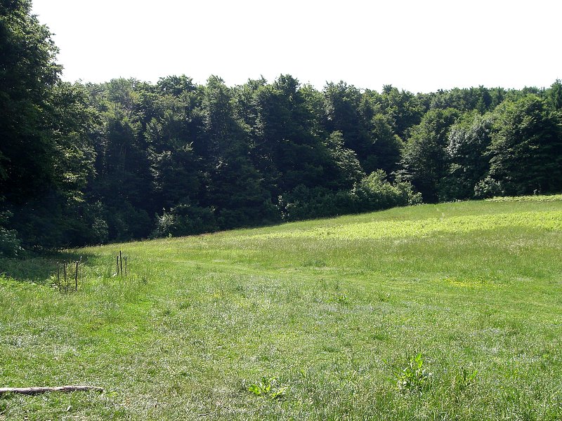 L�ka na �erm�ku, e�te ani nohy 