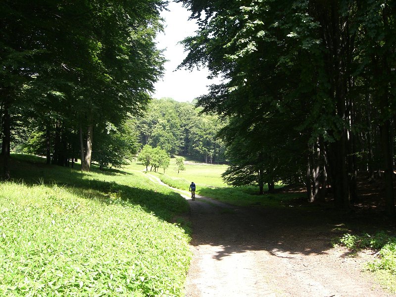 Cesta zak�zan�m �zem�m 