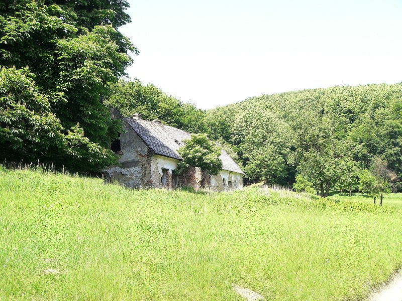 B�val� hor�re� 