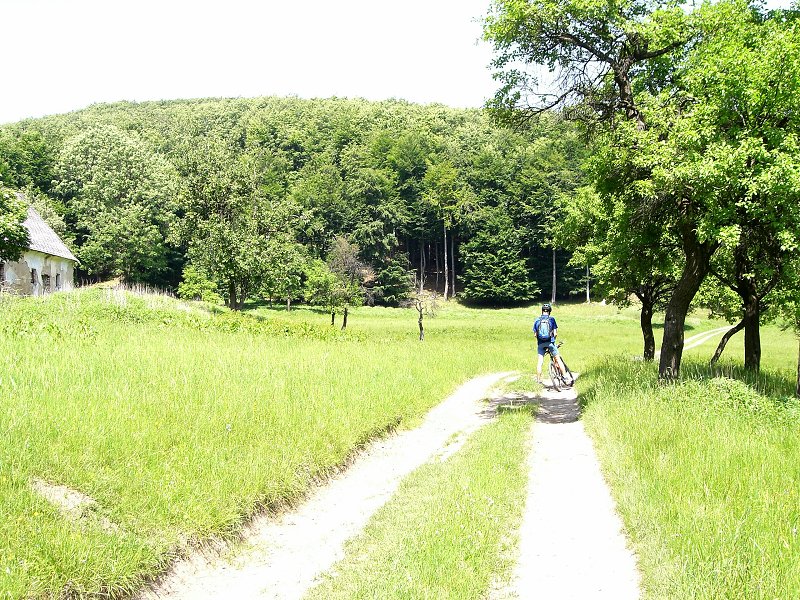 Cesta v obore je n�dhern� 