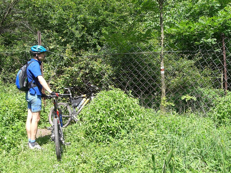 Treba sa n�m nejako dosta� von 