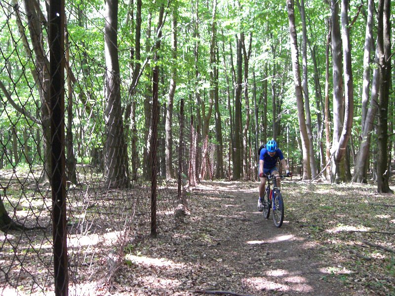 E�te hodn� kus popri plote 