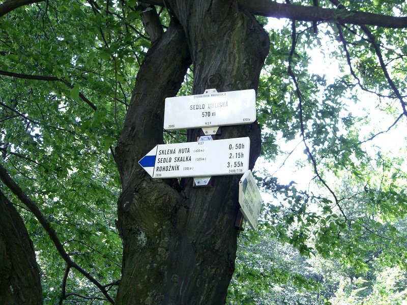 Sedlo Uhlisk�, tu sa op� napoj�me na�erven� hrebe�ovku 