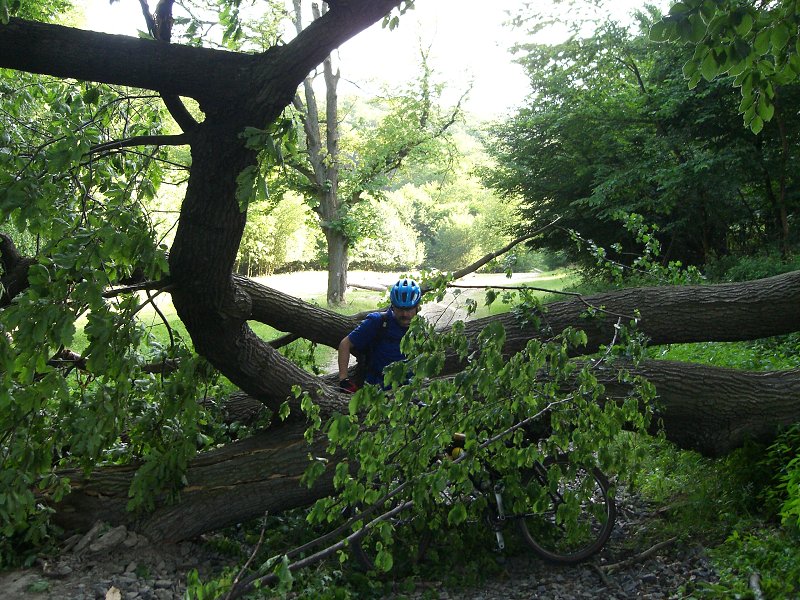 Aj tak�to prek�ky sa vyskytli na ceste 