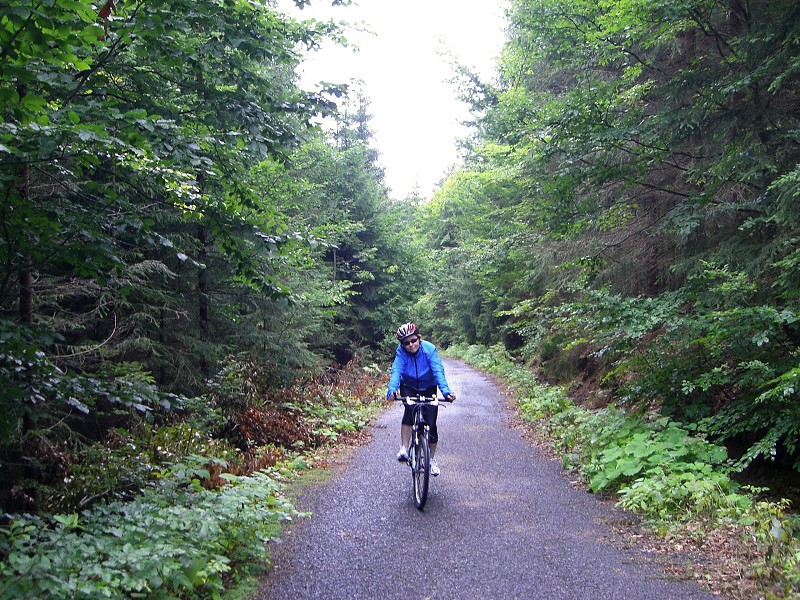 Cesta údolím Jizery