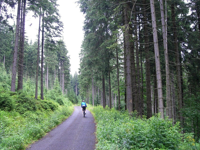 Cesta údolím Jizery